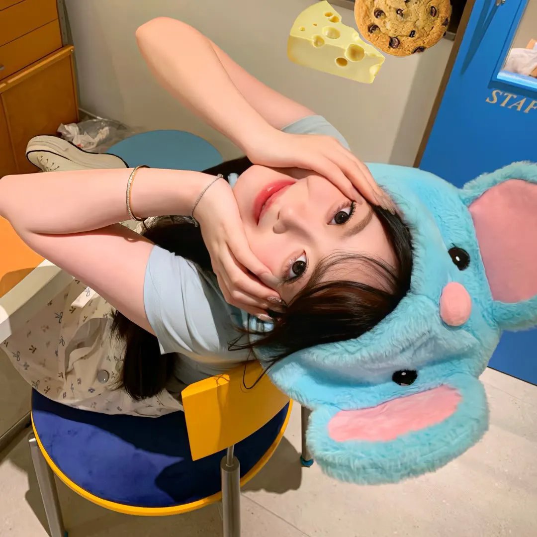 纸牌屋第五季
